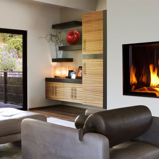 Gas Fireplace Houzz