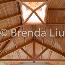 SkyLight