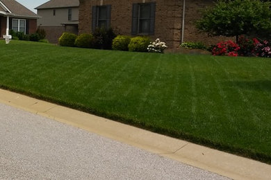 Lawn Repair & Lawn Grass Planting