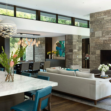 Sunfish Lake Modern