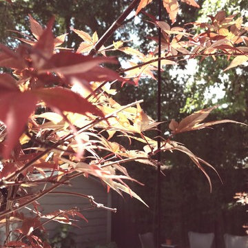 Japanese tree weights / Shaping technique