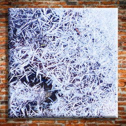 Digital printed canvas - Products