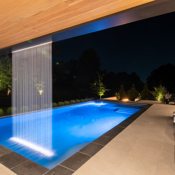 Modern Paradise