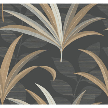 Black El Morocco Palm Wallpaper