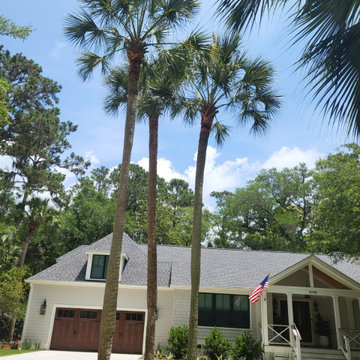 Coastal Landscape Maintenance and Tree Care