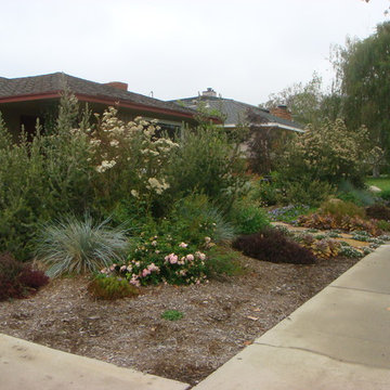 various photos