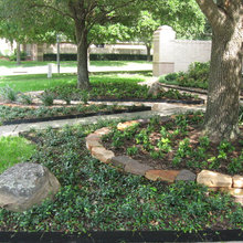 general look for front yard