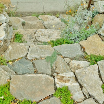 Low Stone Walls