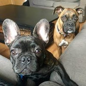 Bonnie Higgins's photo
