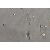 Josephine Smith's photo