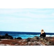 Katie Steadman's photo