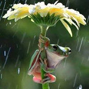 Ilona Alexandra's photo
