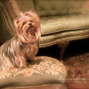 Foto von Kim Dukes