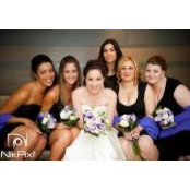 Wendi Hamilton's photo