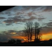 Beatrice Bohnert's photo