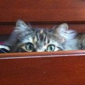 Laurie Lybarger's photo
