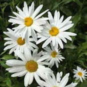Jill Kaeder's photo