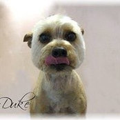 Pam Nelsen's photo