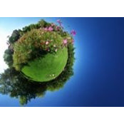 Corto Cherry's photo