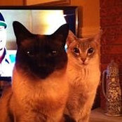 Foto de Bev Rodrigues
