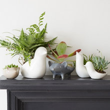 Guest Picks: Accessories for Houseplants
