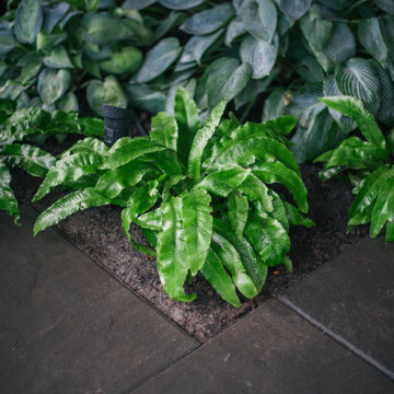 Patio Detail