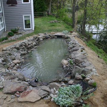 Broomes Island gem