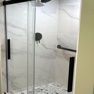 Guest Bath Remodel