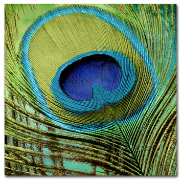 Color Bakery 'Peacock Candy V' Canvas Art, 18"x18"