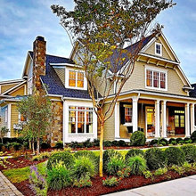 Exterior Colors