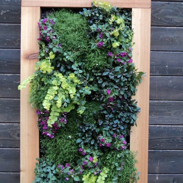 Container Gardens and Succulent Arrangements