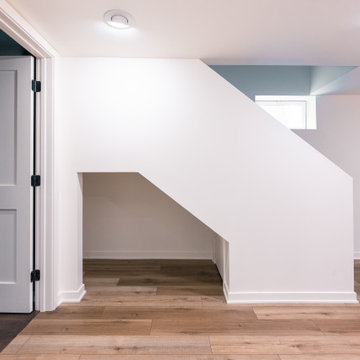 Luxury Basement Finishing Chicgo I $150K Moder Transformation