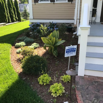 Old Greenwich Foundation Plantings