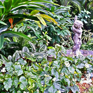 Garden and Landscape Maintenance