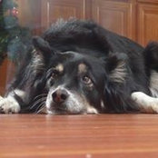 Jane Wong's photo