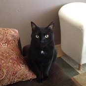 Becky Marold's photo