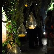 Daniela Paredes's photo
