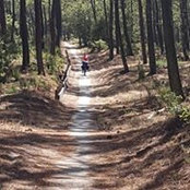 Fabienne Deruyさんの写真