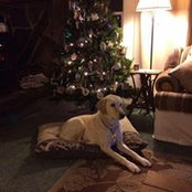 Tracy Marquette's photo