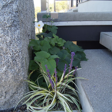 FineLine Custom Home Landscape