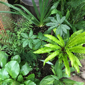 A plant lover's paradise