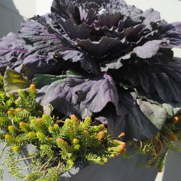 Fall Containers