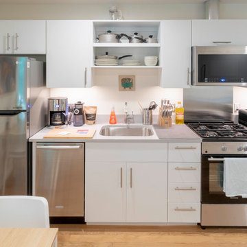 Lil Bub's Really Nice Apartments
