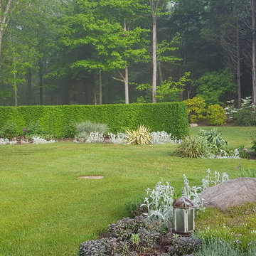 My Garden