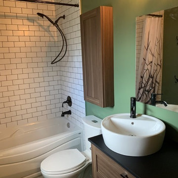 Mission bathroom quick change reno