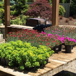 Butler Road Nursery - Products