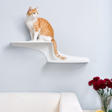 CAT IDEAS