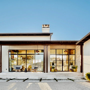 Yaupon Holly Contemporary