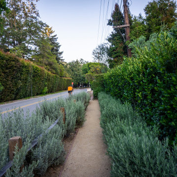 Mandeville Canyon Modern Oasis
