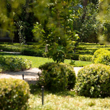 Hamptons in a Drought